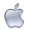 apple_logo-he-100x30